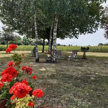 De La Seugne Pres De Jonzac Clion (Charente-Maritime)